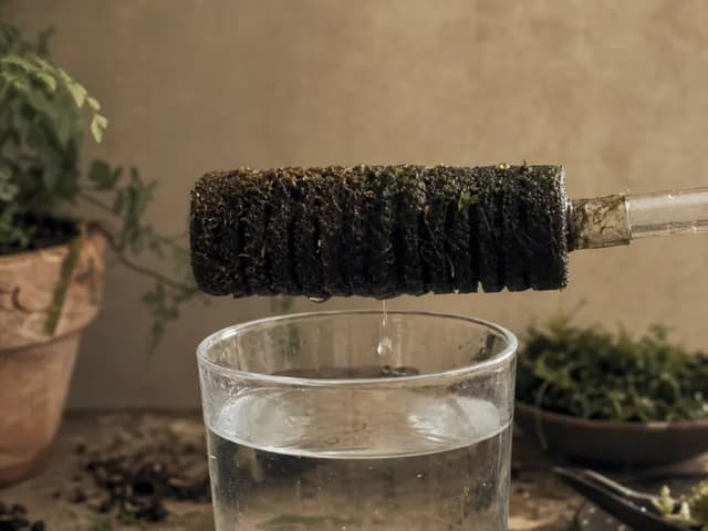 A dark wet filter sponge held above a clear glass, its textured surface catching soft side light.